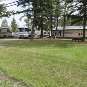 Wildwood Campsite