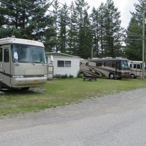 Wildwood Campsite