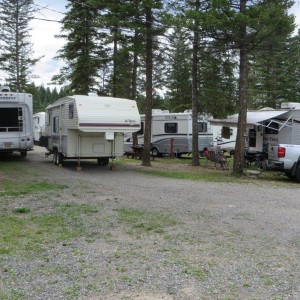 Wildwood Campsite